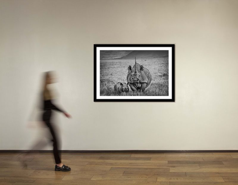 36 x 48 in., edition of 15